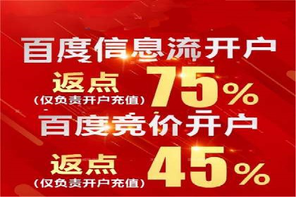 SEM投放策略优化案例分析